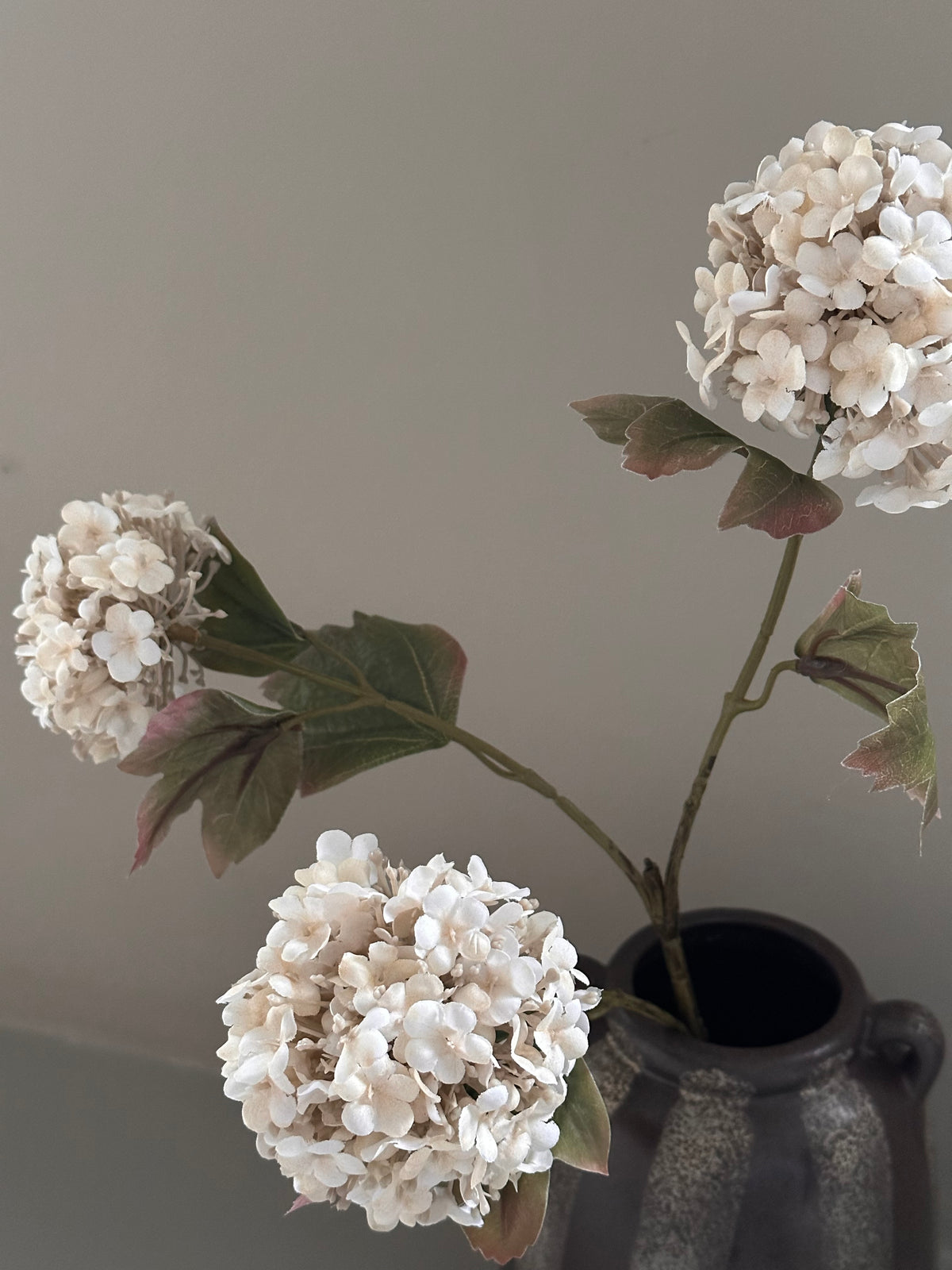 Kunsttak Viburnum Carlesii wit