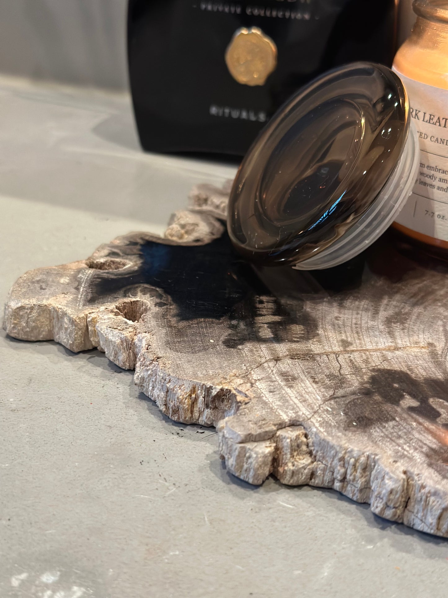 Plateau versteend hout