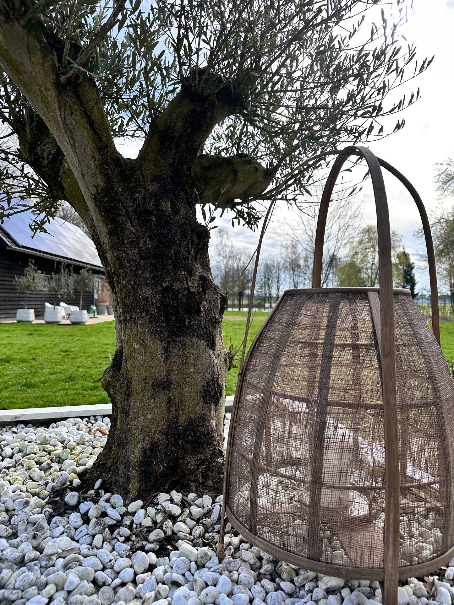 Lantaarn bamboe naturel: Maat L