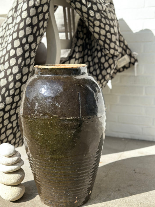 Pot