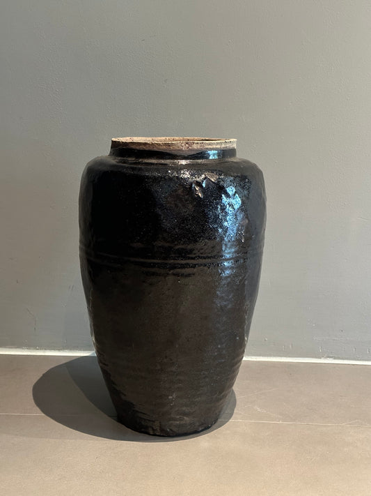 Pot