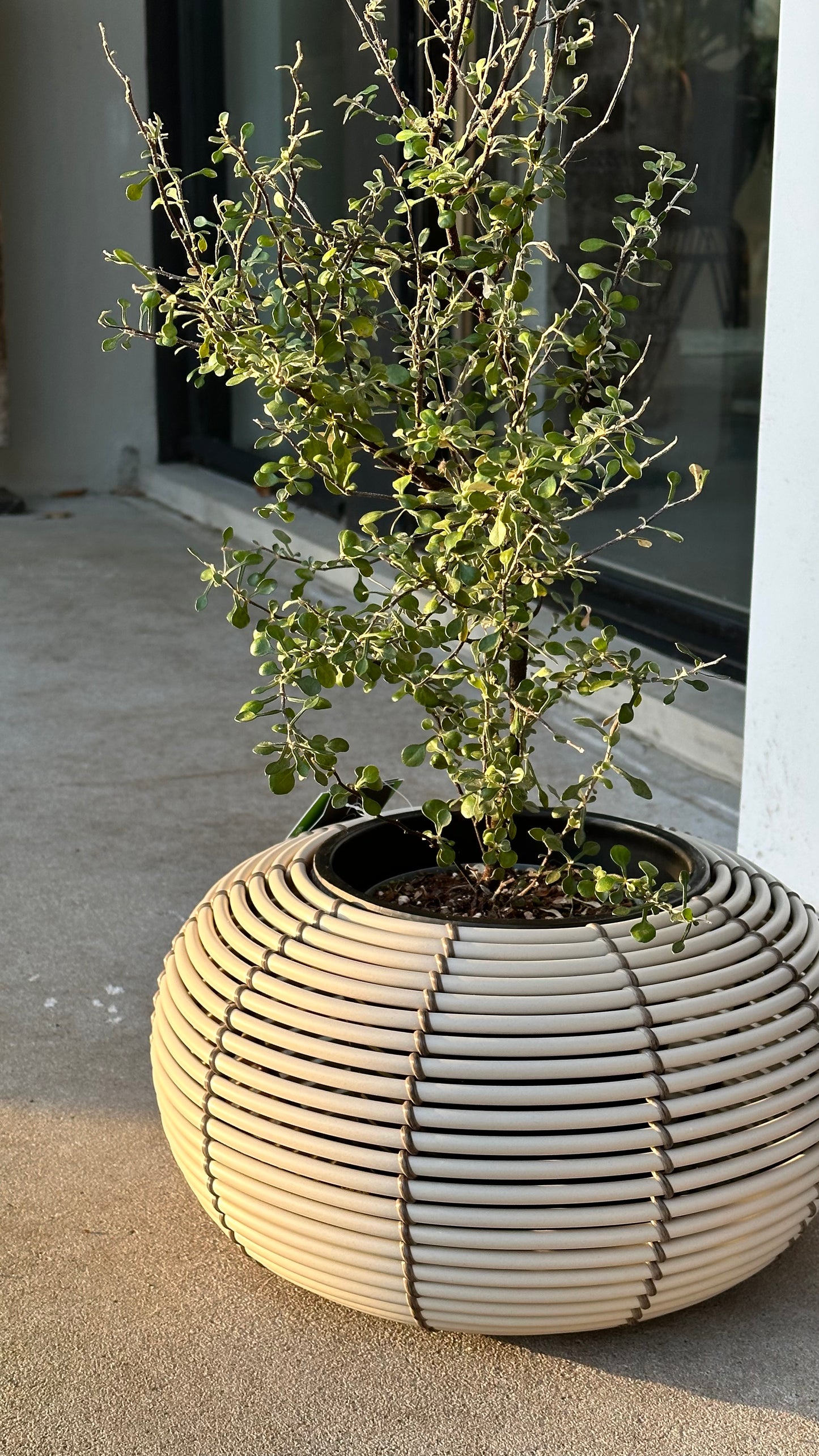 Plantenbak kunststof, rond/middel