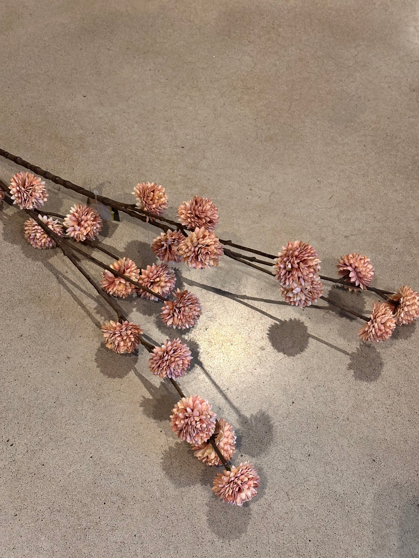 Kunsttak Pompom, Champagne