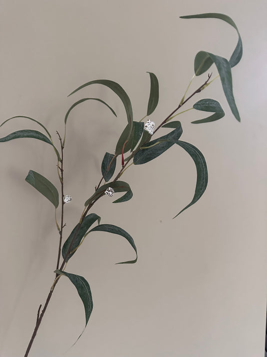 Kunsttak Eucalyptus globulus