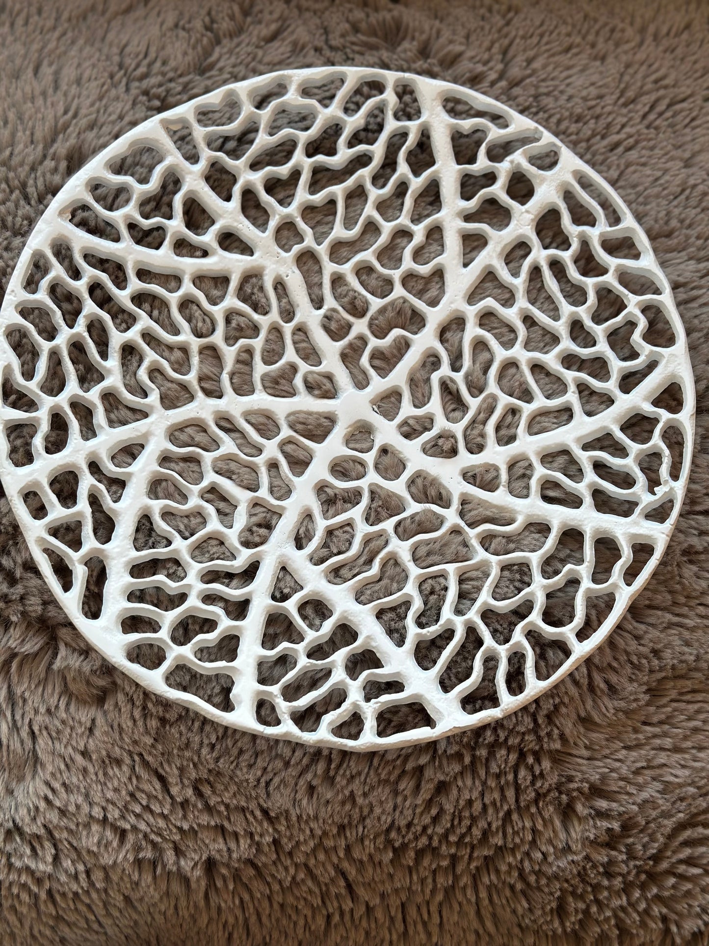 Plate Aluminium Raw White