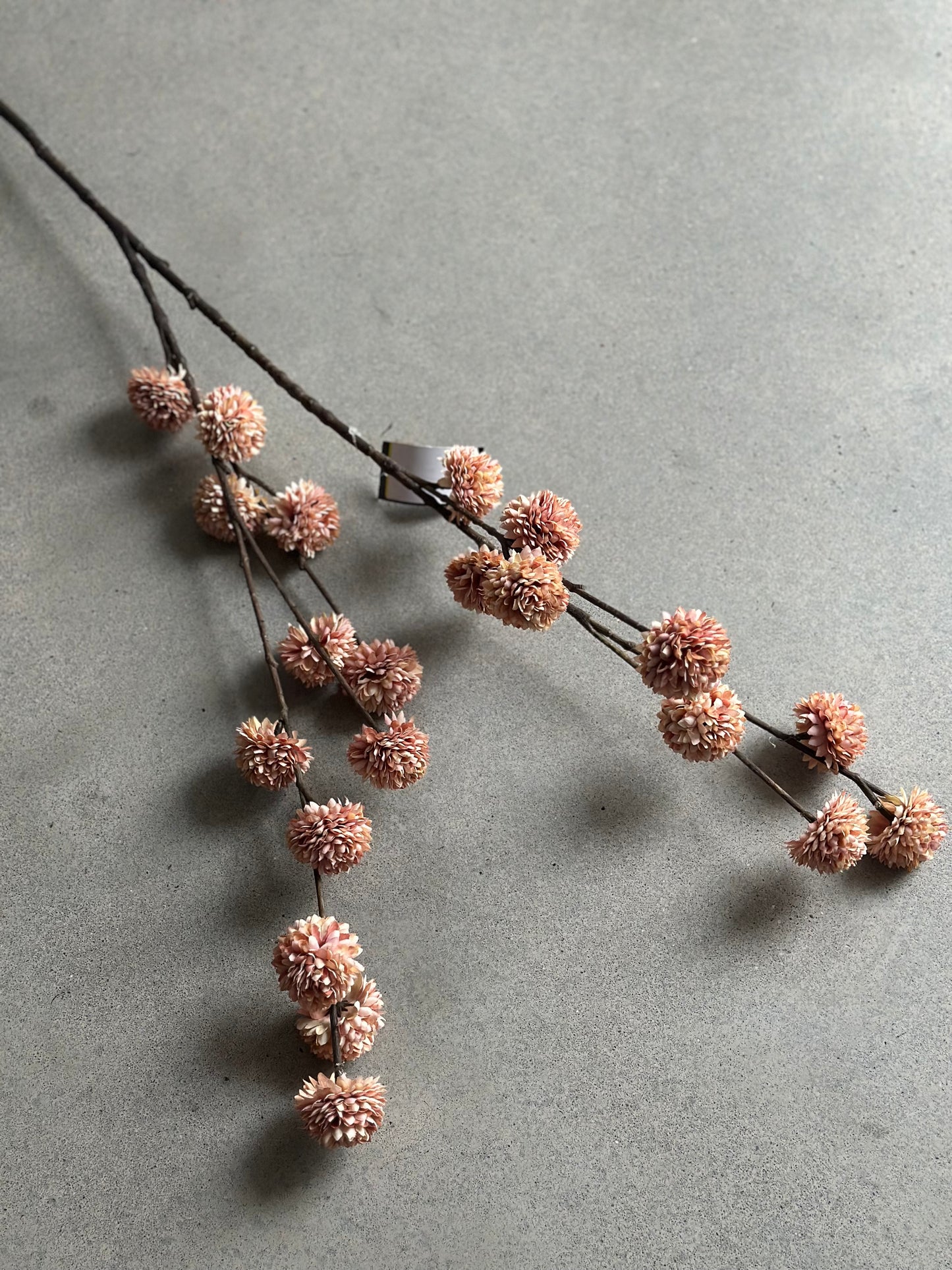 Kunsttak Pompom, Champagne