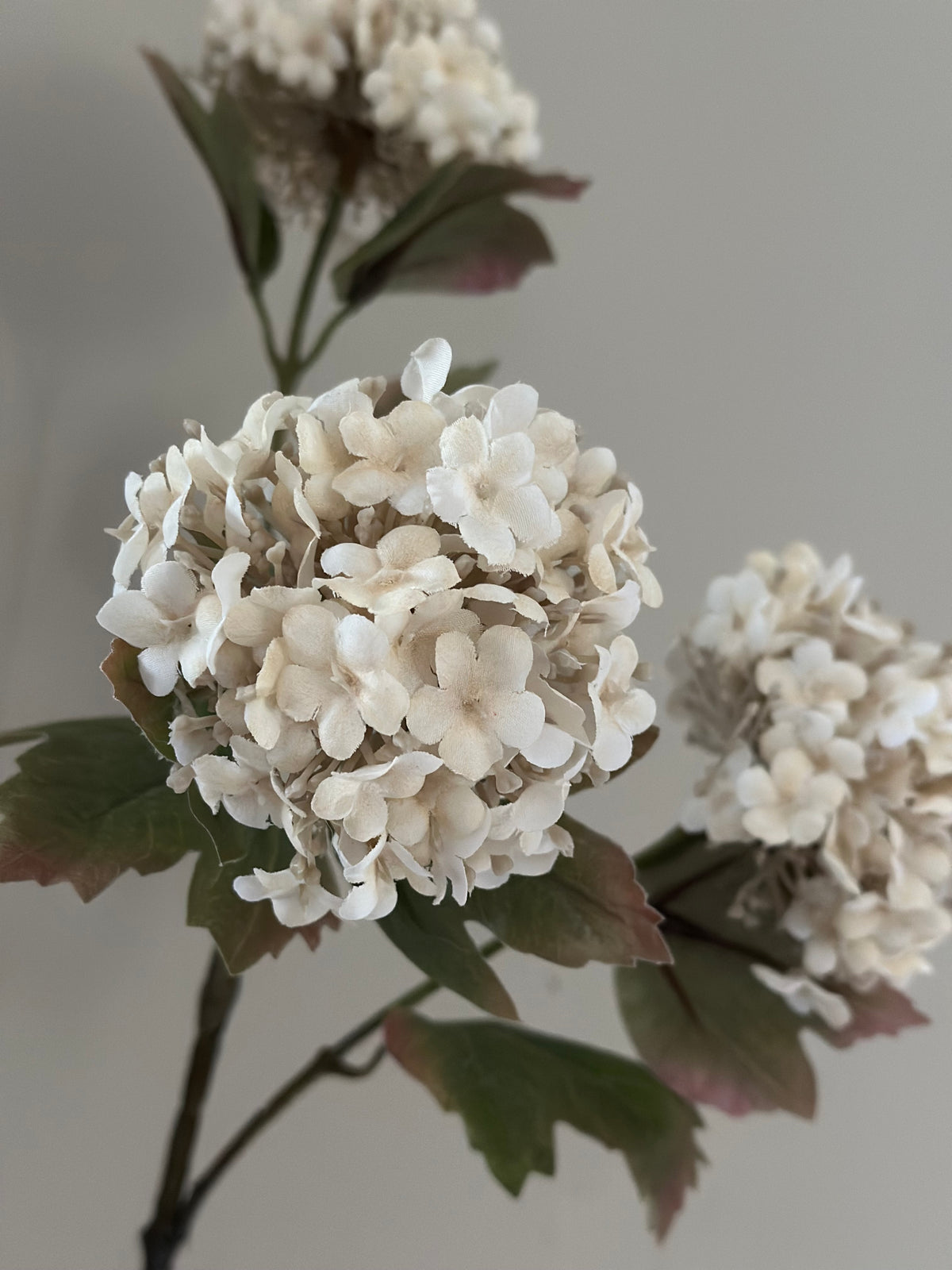 Kunsttak Viburnum Carlesii wit