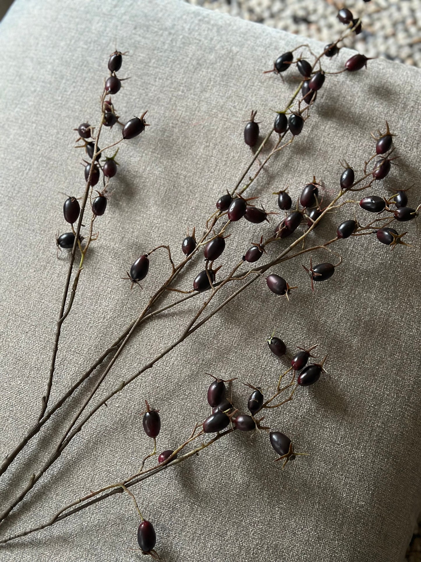 Rosa Canina tak, kunst.