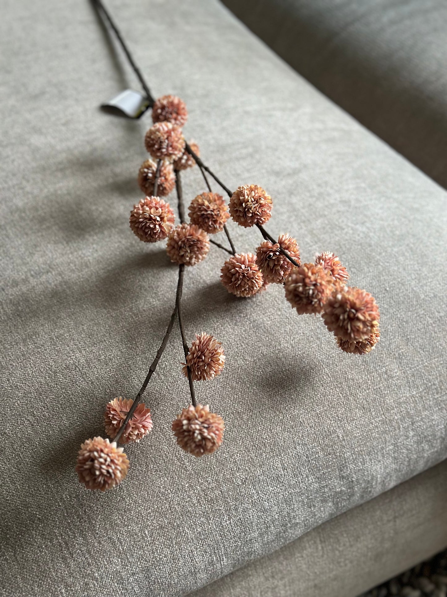 Kunsttak Pompom, Champagne