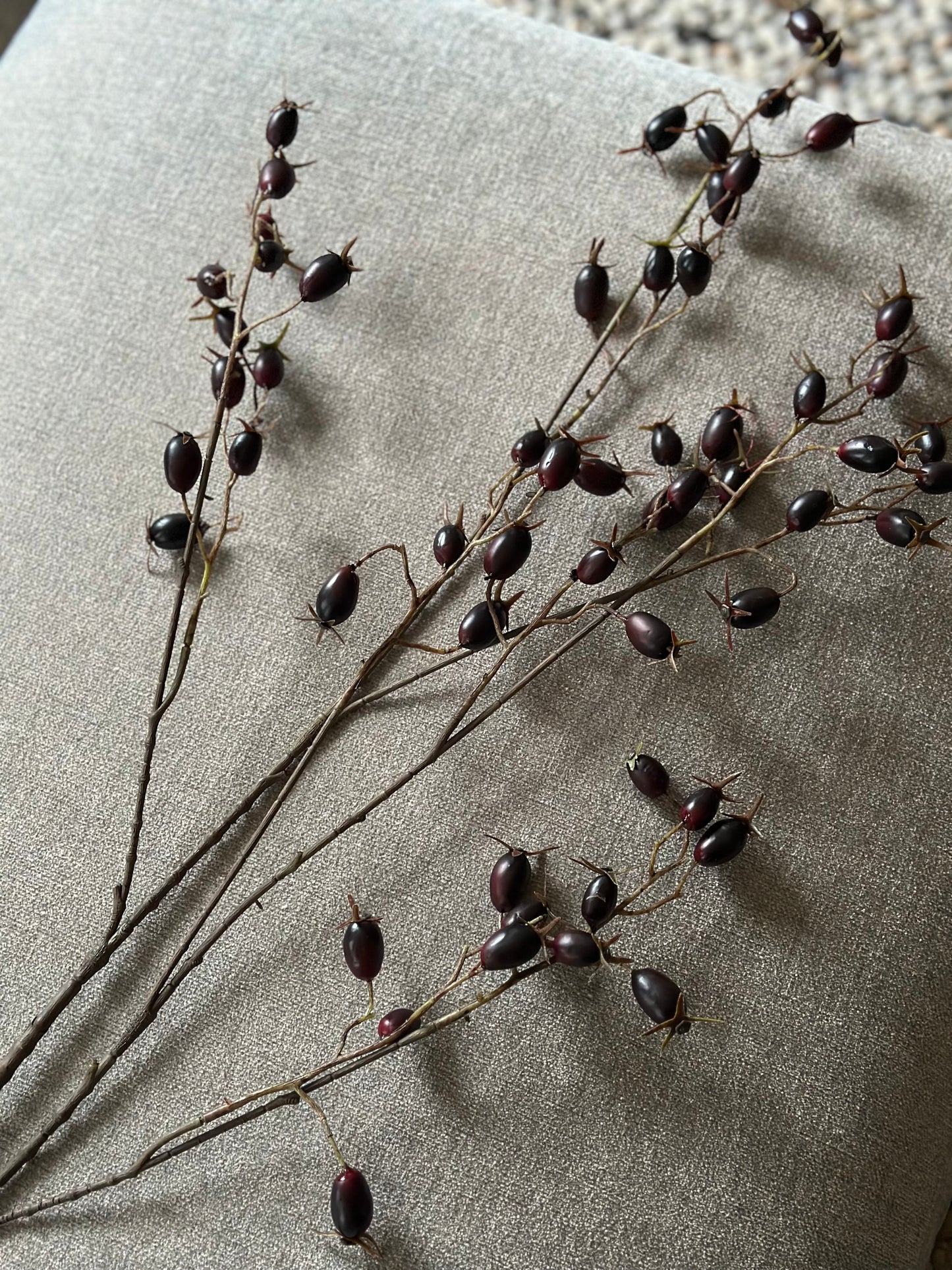 Rosa Canina tak, kunst.