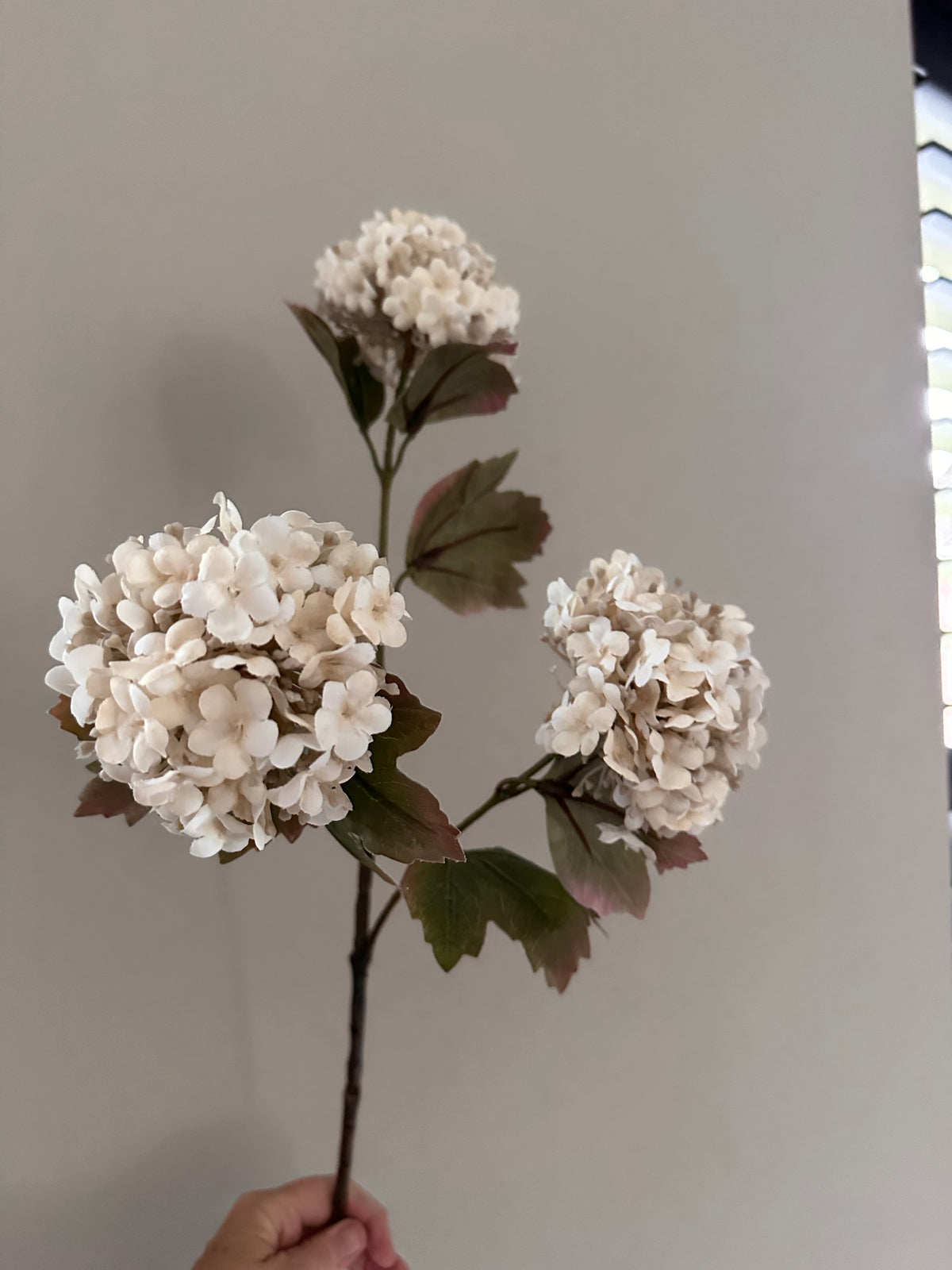 Kunsttak Viburnum Carlesii wit