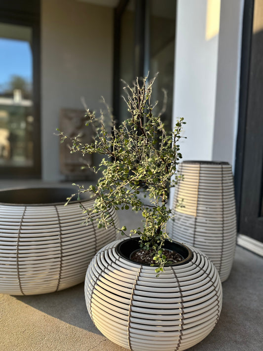 Plantenbak kunststof, rond/middel