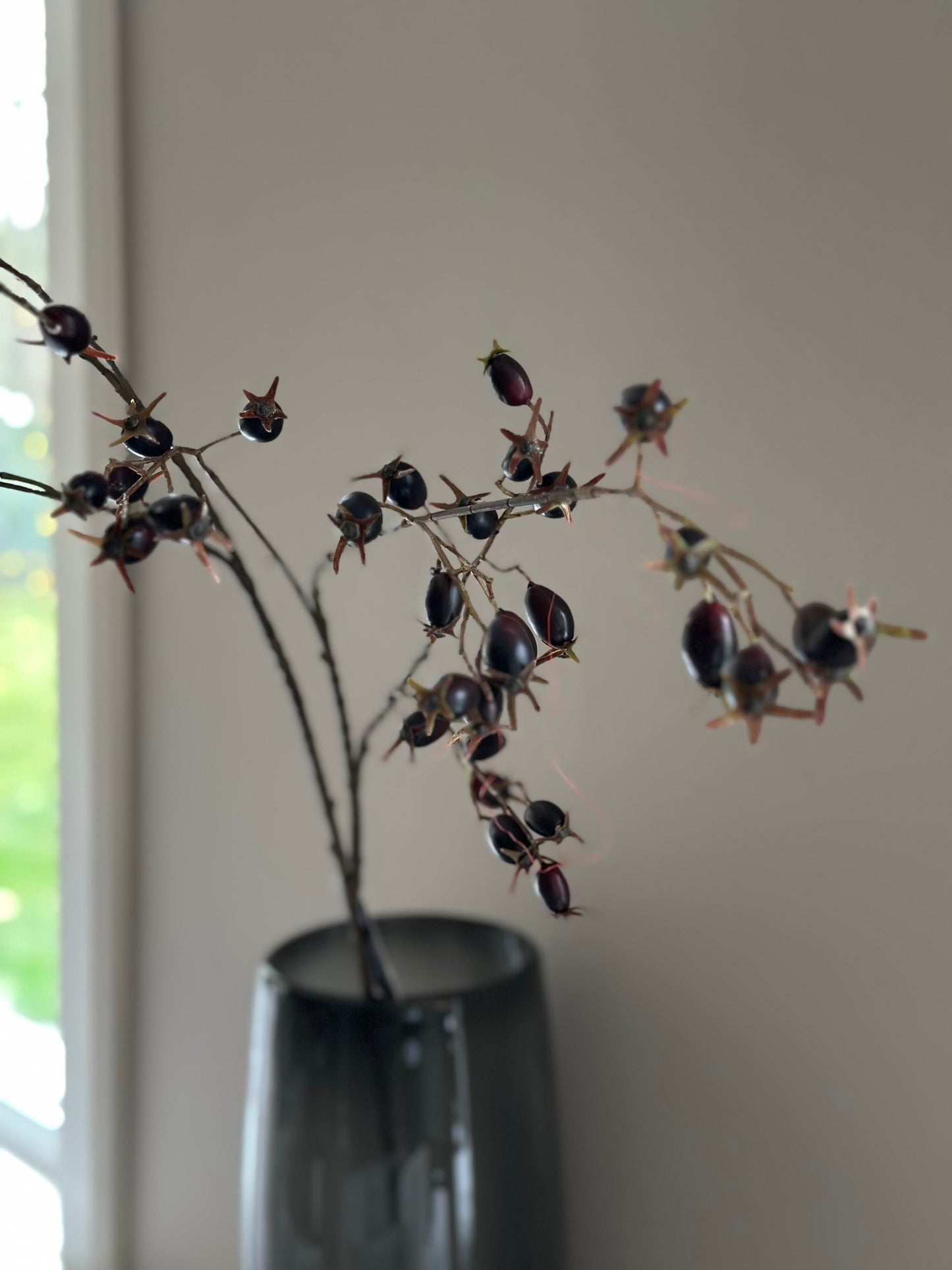 Rosa Canina tak, kunst.