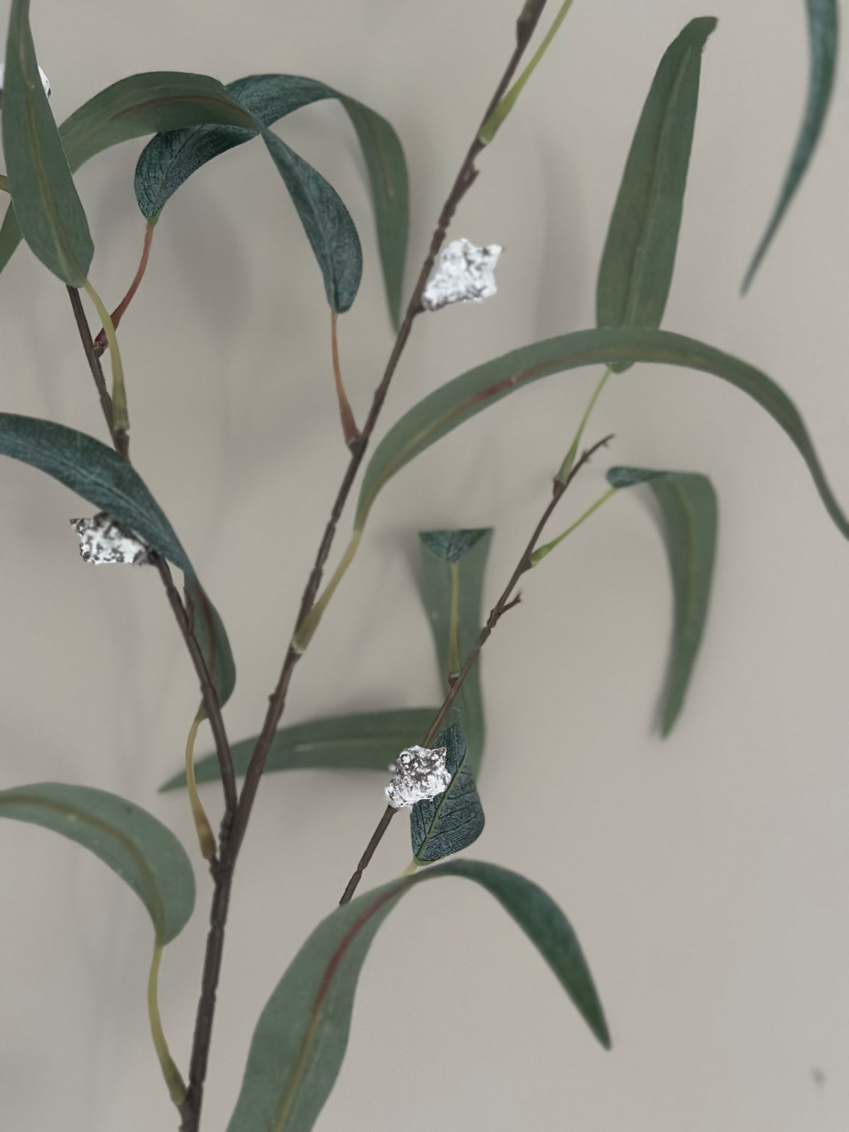 Kunsttak Eucalyptus globulus